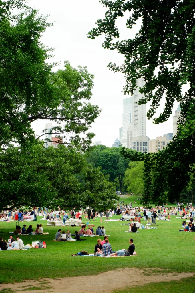 Manhattan Experience