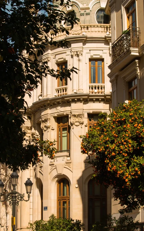 Accademia di Valencia — immagine 4