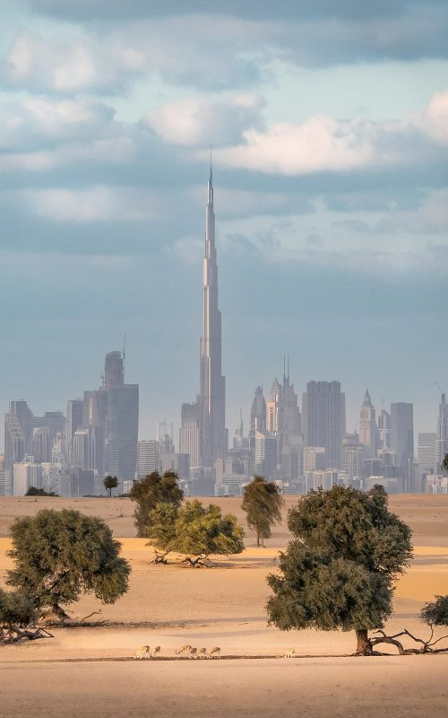 Il tennis di lusso nella città del futuro — immagine 2