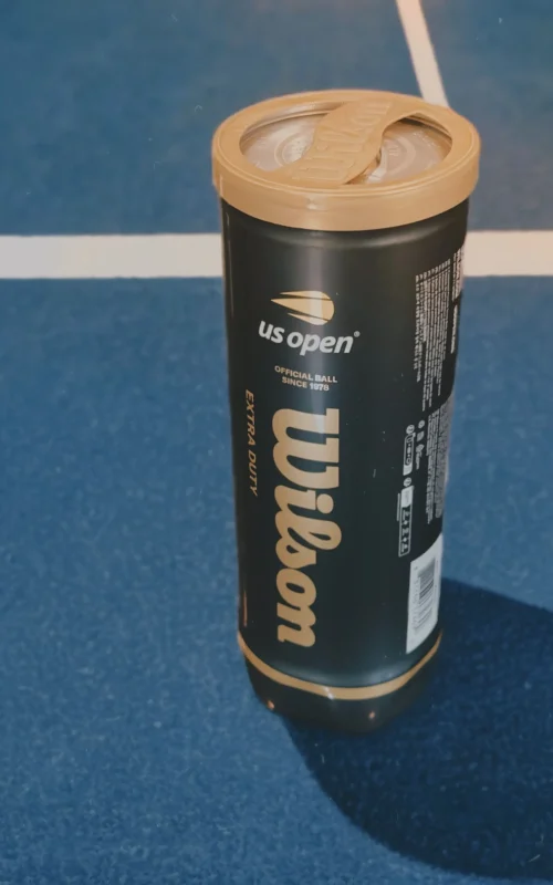 Gioca agli US Open — immagine 4
