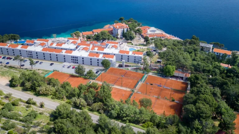 Fine Academy & Celebrazione